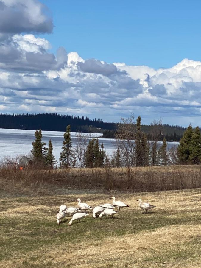 Tolsona Lake Lodge Glennallen Exterior foto